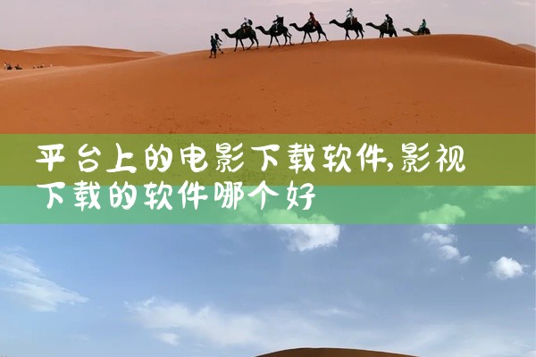平台上的电影下载软件