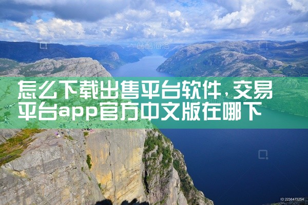 怎么下载出售平台软件