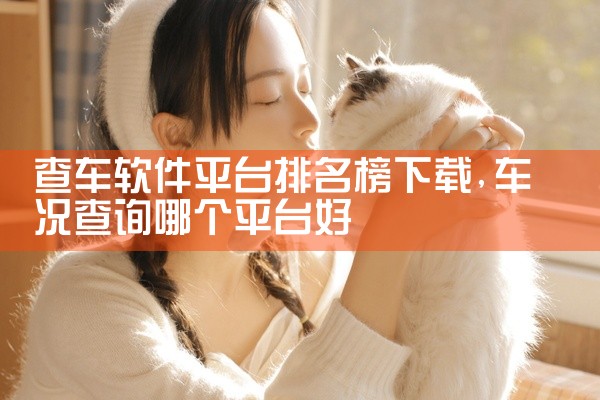 查车软件平台排名榜下载