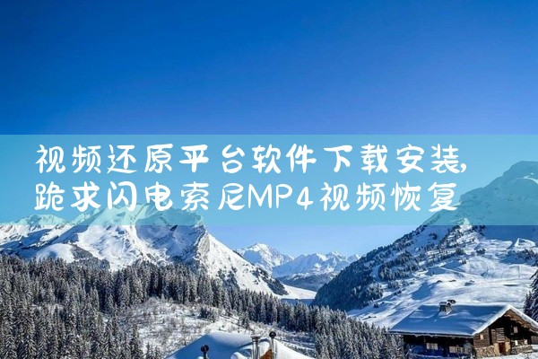 视频还原平台软件下载安装