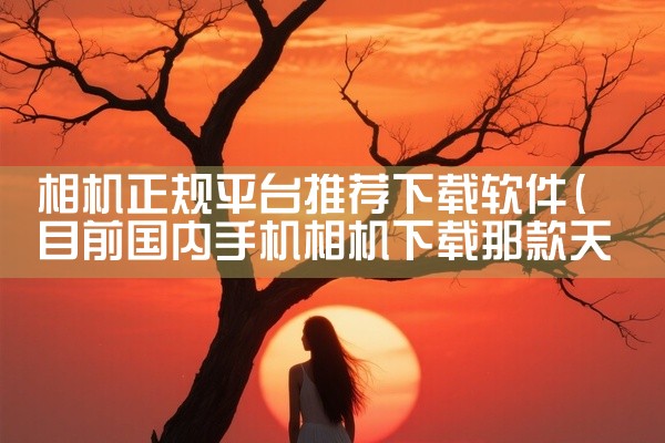 相机正规平台推荐下载软件