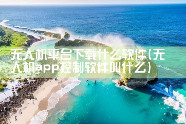 真实的平台下载软件