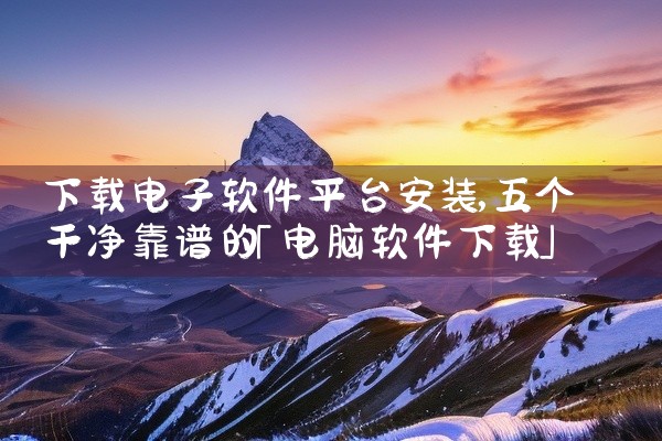 下载电子软件平台安装